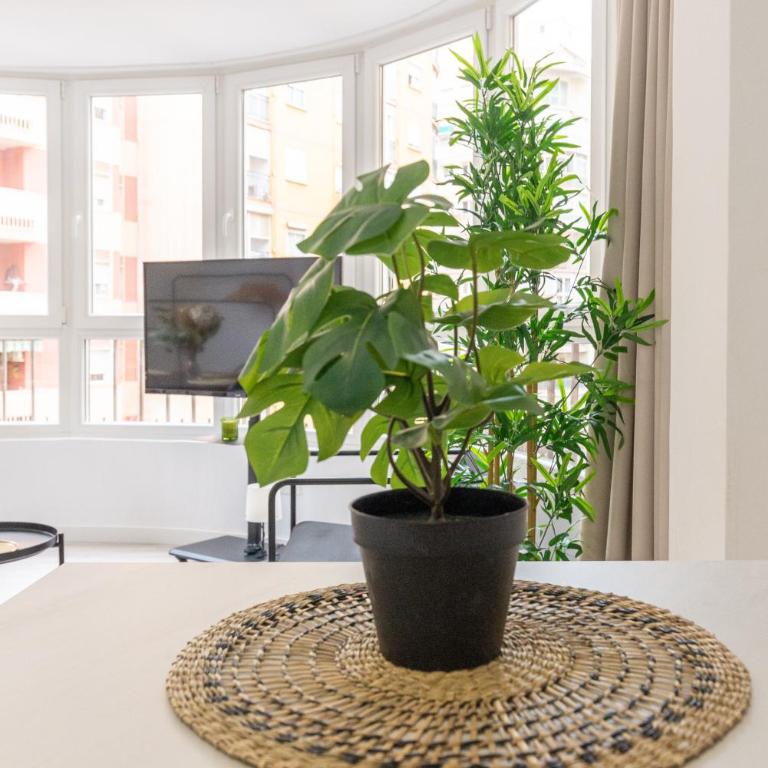 Malaga Centro - Estudio - 18