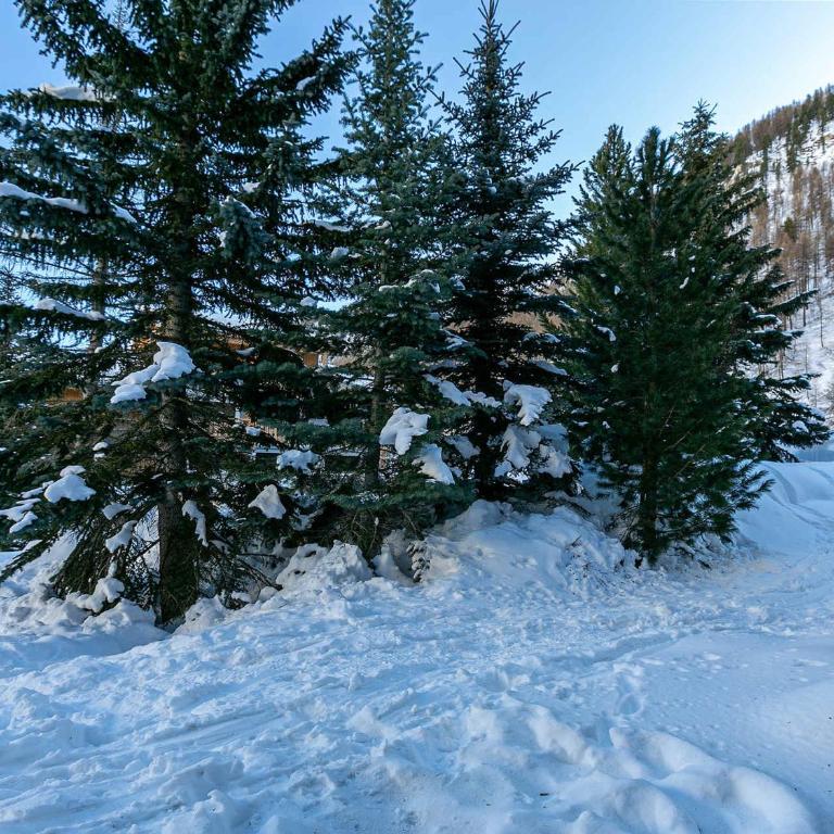 Studio cosy skis aux pieds, terrasse, proche village, animaux admis - Studio - 4