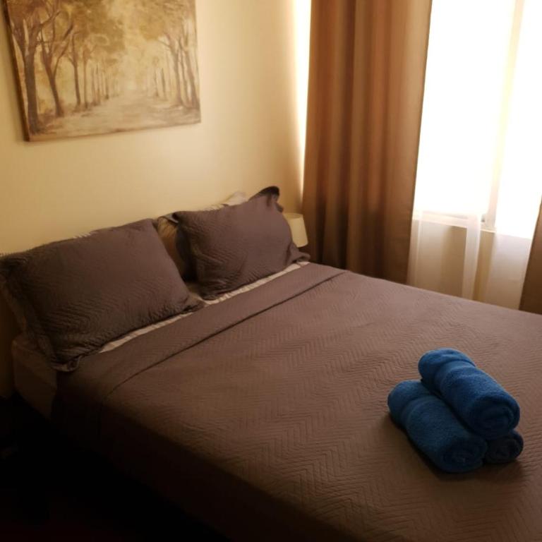 Apartamentos Santiago Centro R&M - Apartment with Balcony - 5