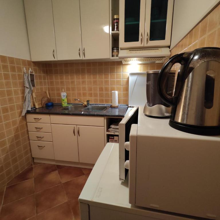 Srecko No3 - Apartman sa 1 Spavaćom Sobom - 13