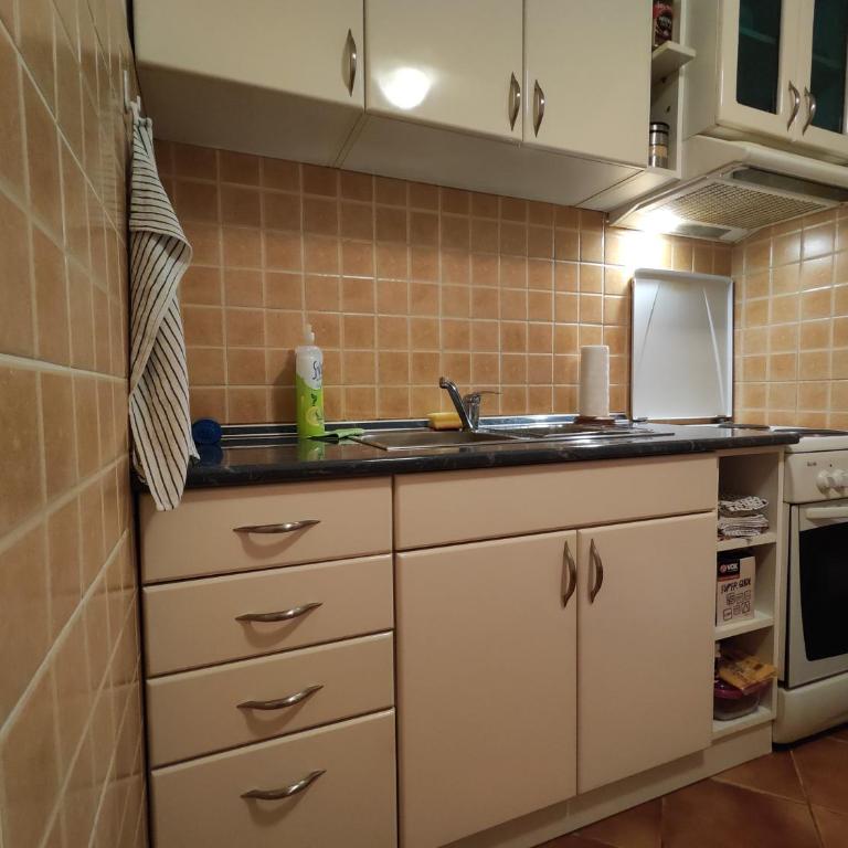 Srecko No3 - Apartman sa 1 Spavaćom Sobom - 12