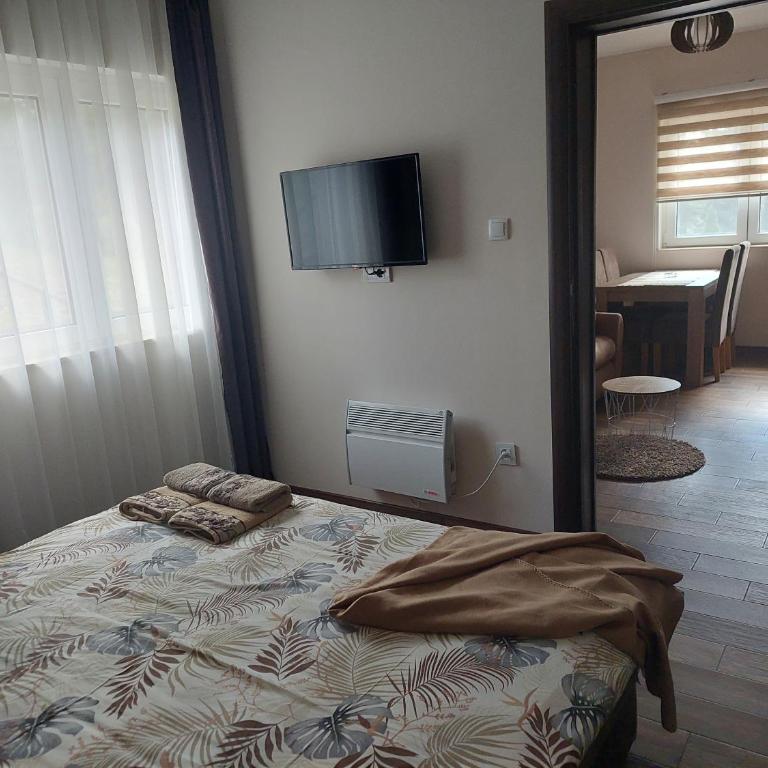 Apartmani Borova Iglica Divčibare - Apartman sa 1 Spavaćom Sobom - 24