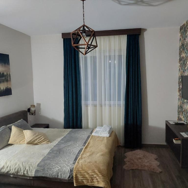 Apartmani Borova Iglica Divčibare - Deluks Dvokrevetna Soba sa Bračnim Krevetom/Zasebnim Krevetima i Pogledom na Planinu - 22