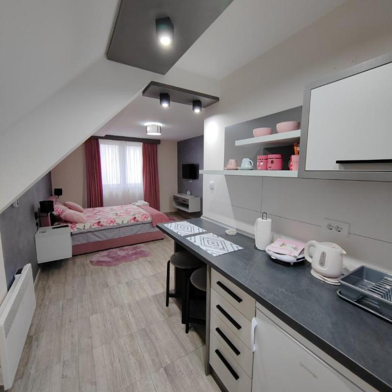 Apartmani Borova Iglica Divčibare - Standardna Dvokrevetna Soba sa Bračnim Krevetom - 8