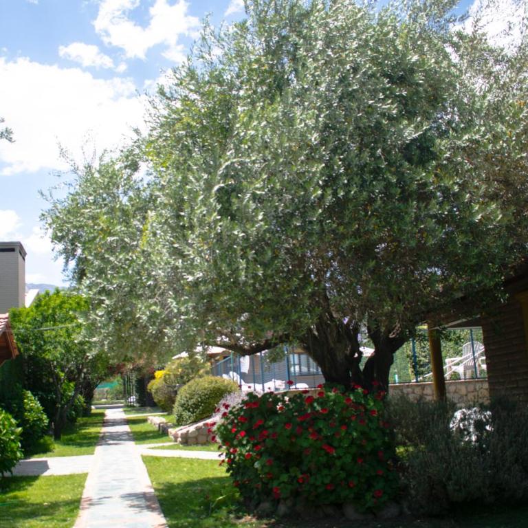 Cabañas Monteolivos - Bungalow Familiar - 4