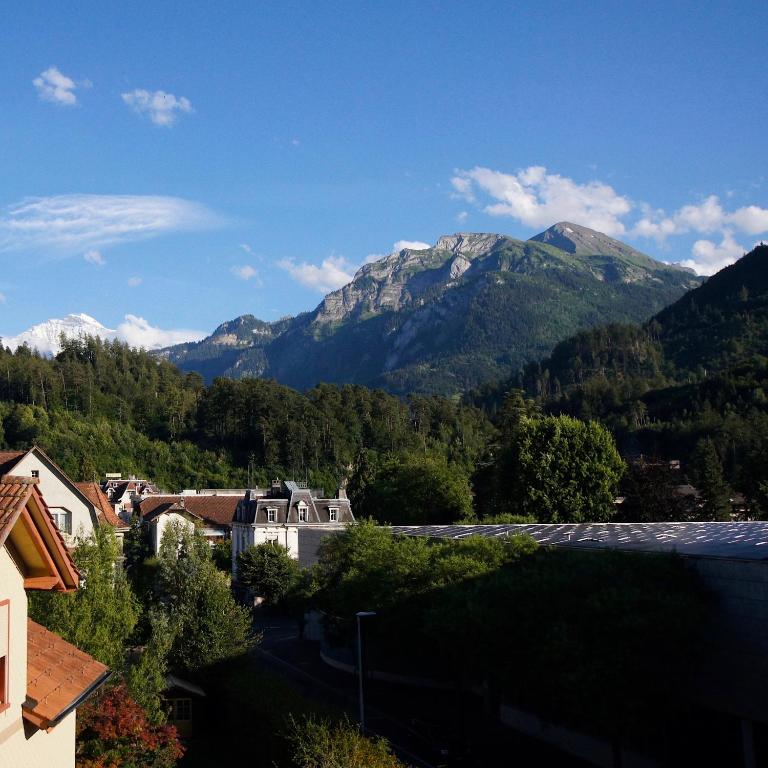 NI FRAVI Holiday Apartments, Interlaken West - One-Bedroom Apartment - 7