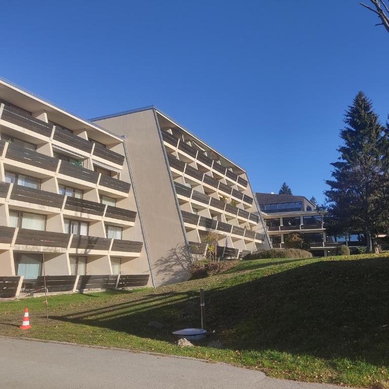 Ferienapartment Alois in Sankt Englmar - Appartamento con 1 Camera da Letto - 2