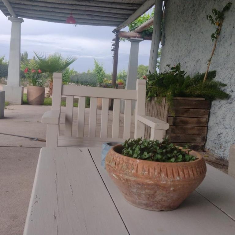 ENTRE VIÑAS RURAL - Casa de 3 dormitorios - 6