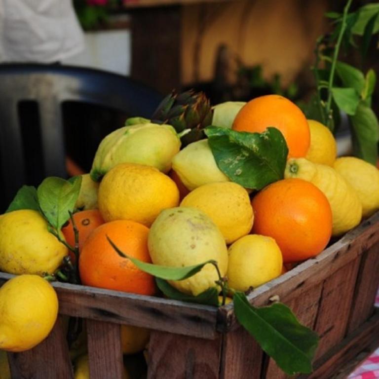 Agriturismo del Pigato - Bio Vio - Appartamento con 2 Camere da Letto - 5