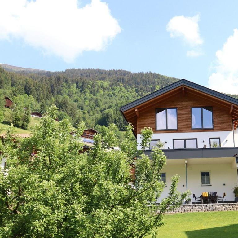 Sonnau vacation apartment near Wildkogelarena - Apartment mit 2 Schlafzimmern - 3