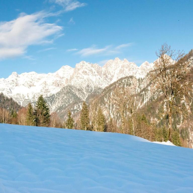 Chalet in Hochfilzen by Ski Piste - Ferienhaus mit 5 Schlafzimmern - 34