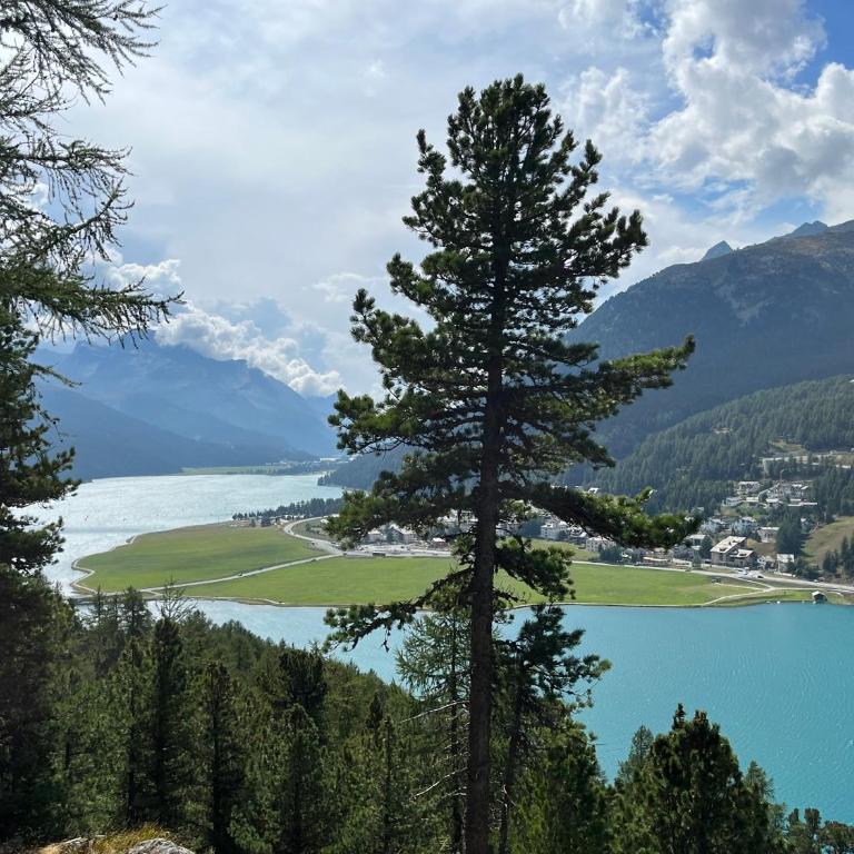 Chesa Munteratsch 2-Zimmerwohnung 101 Typ E - Apartment mit Seeblick - 66