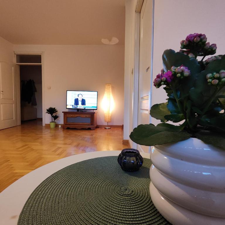 Srecko No3 - Apartman sa 1 Spavaćom Sobom - 15