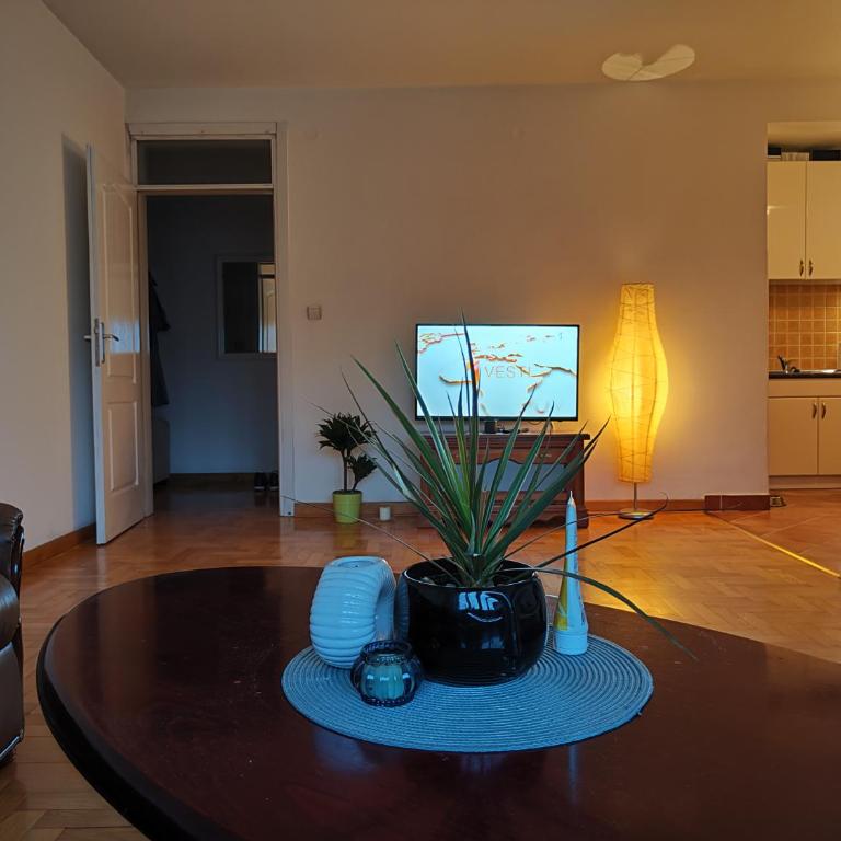 Srecko No3 - Apartman sa 1 Spavaćom Sobom - 7