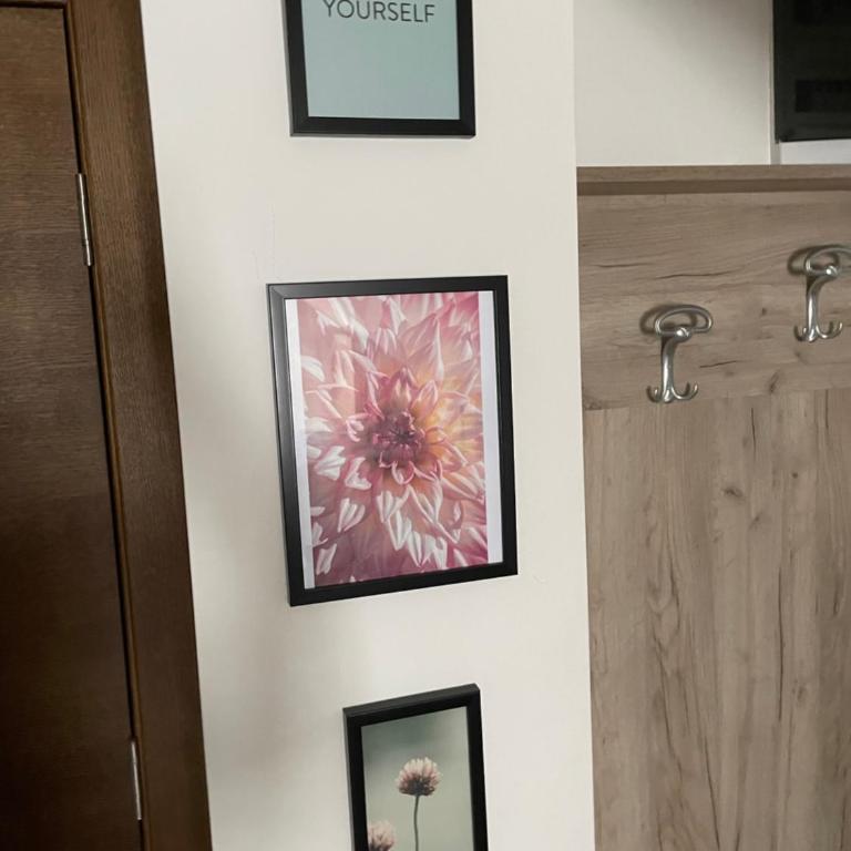 Vuk apartment - Milmari Resort & Spa - Studio - 36