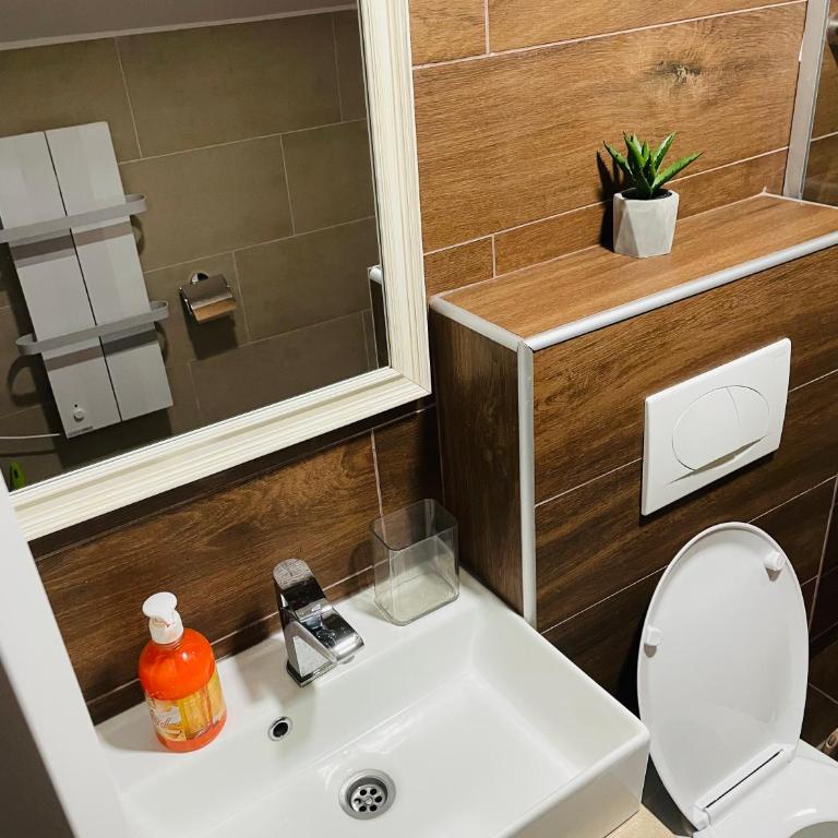 Vuk apartment - Milmari Resort & Spa - Studio - 39