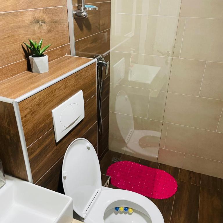 Vuk apartment - Milmari Resort & Spa - Studio - 41