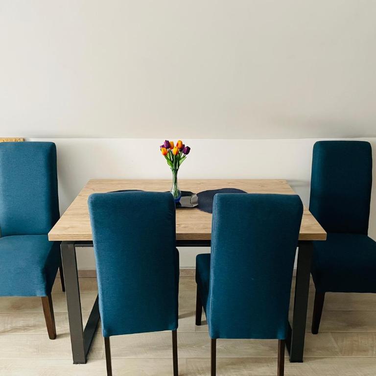 Vuk apartment - Milmari Resort & Spa - Studio - 24