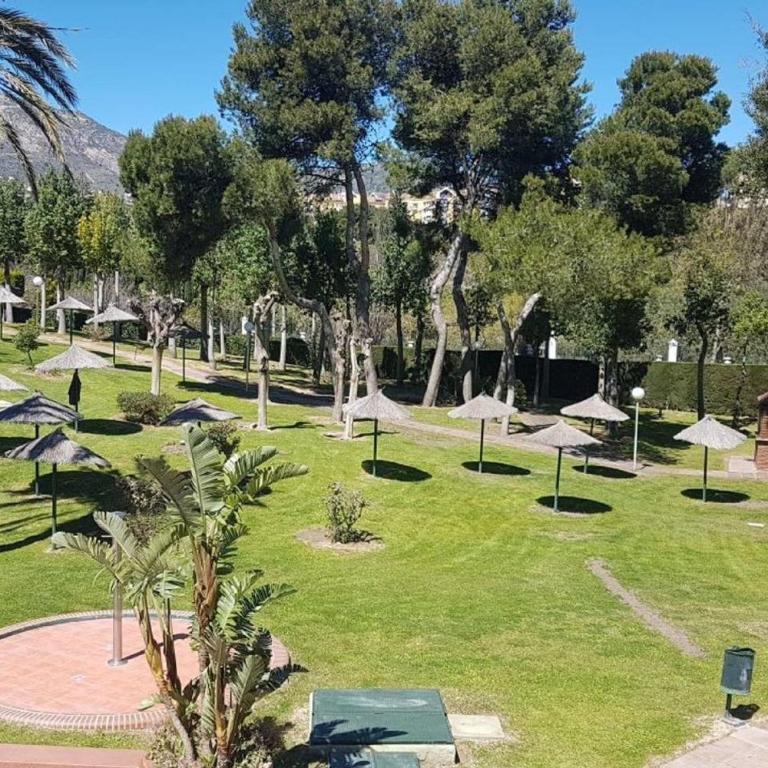 "VIVE BENAL BEACH" estudio gran terraza y parque acuático 1319 - Estudio - 16
