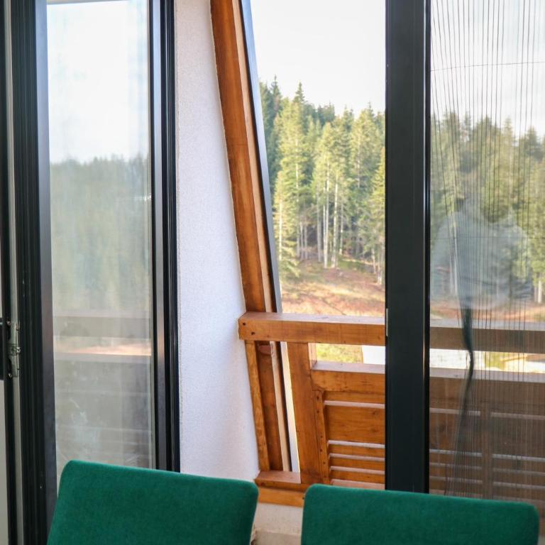 Ravna Planina - One-Bedroom Apartment - 2