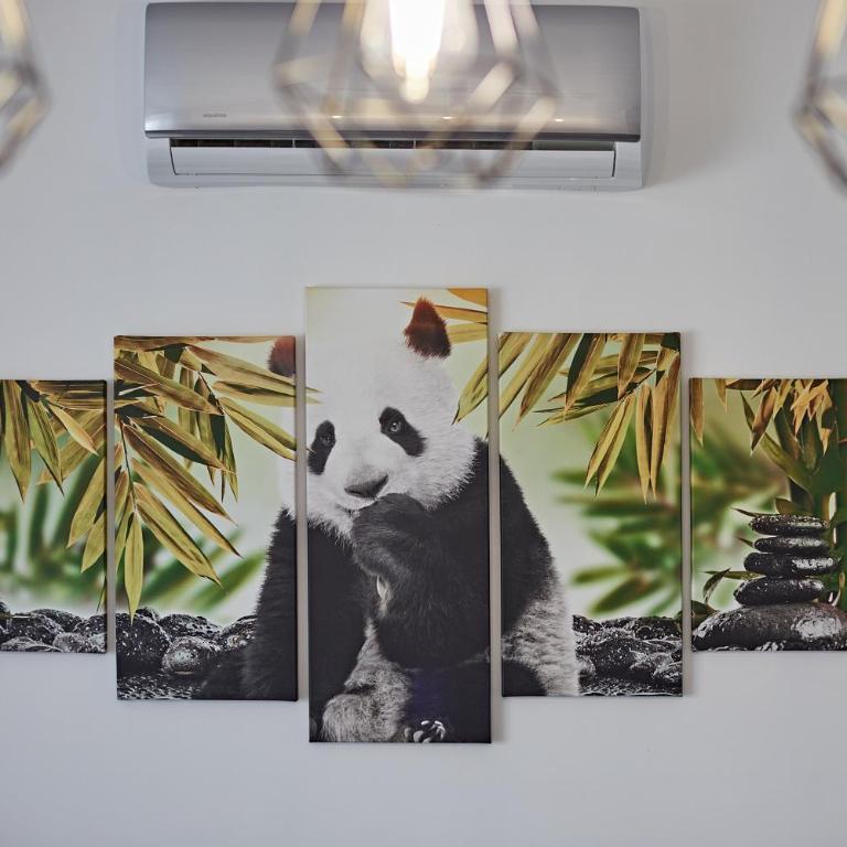 Apartamento Panda House - Apartamento de 1 dormitorio - 48
