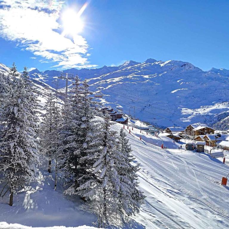 Joli 2 pièces, 4 pers, ski aux pieds, animaux admis - One-Bedroom Apartment - 20
