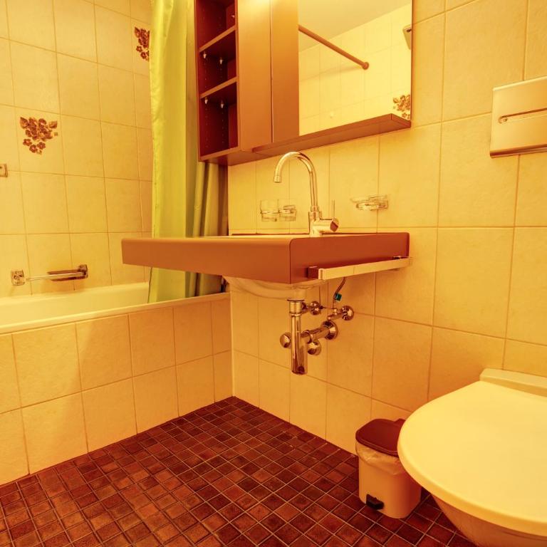 Chesa Munteratsch 1-Zimmerwohnung 203 Typ B - Apartment mit Seeblick - 11