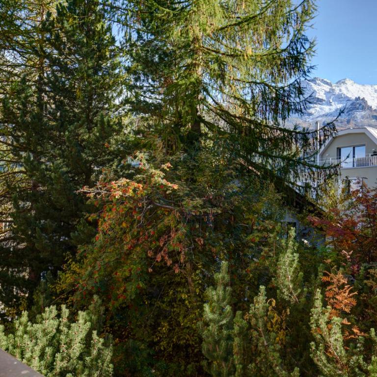Chesa Munteratsch 1 1 2-Zimmerwohnung 309 Typ C - Apartment mit Blick auf die Berge - 20
