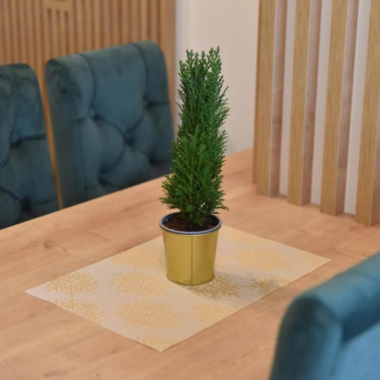 Apartman LUCIJA 9D57 Kraljevi Cardaci - One-Bedroom Apartment - 3
