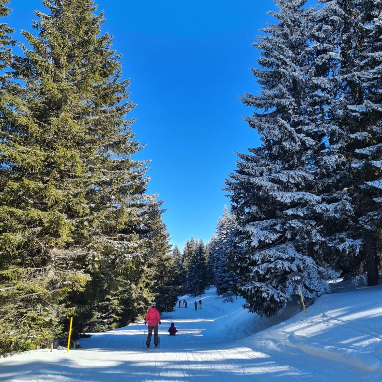 Mountain Side Kopaonik - One-Bedroom Apartment - 65