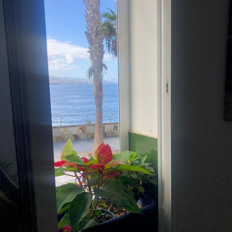 NATURAL CONFITAL BEACH - Apartamento de 2 dormitorios - 30