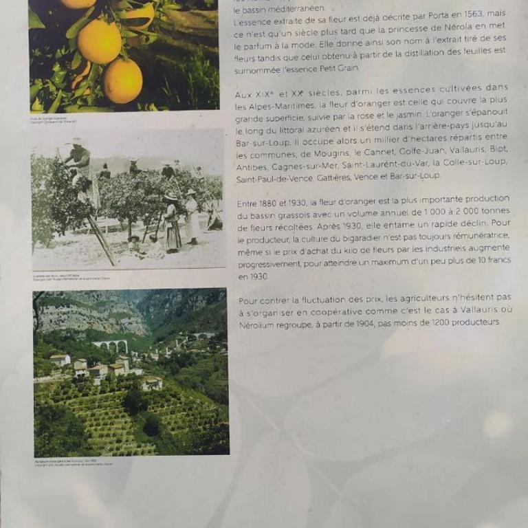Les brises de Menton - Résidence les Miradors - Appartement 1 Chambre - 35