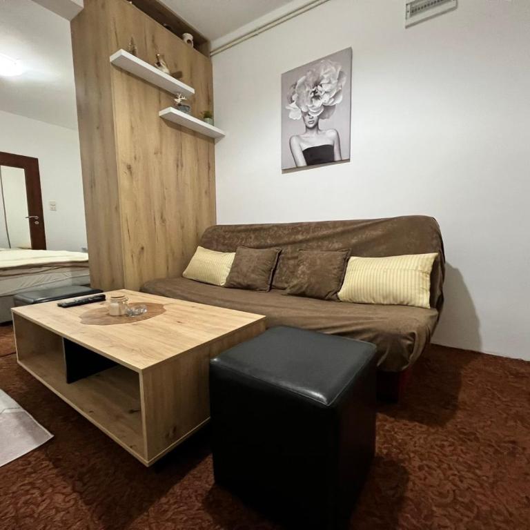 Studio apartman Ana - One-Bedroom Apartment - 2