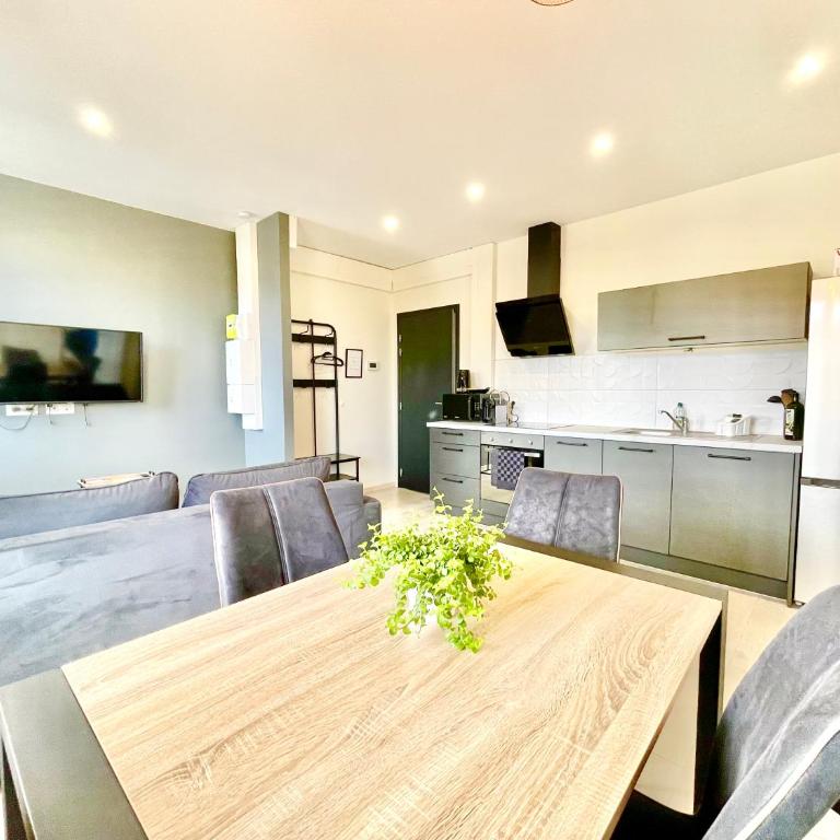 COLMAR - Appartements Deluxe - Lumineux - Stationnement Gratuit et Facile dans la rue - Apartment mit Balkon - 9