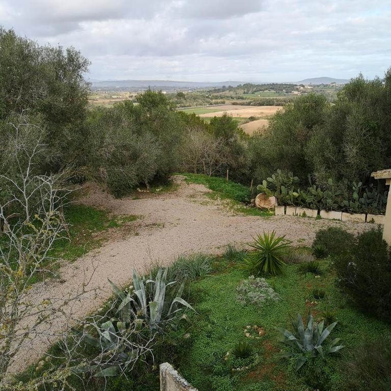 Son Vell. Mallorca. Casa amb piscina ecològica. - Casa de 5 dormitorios - 50