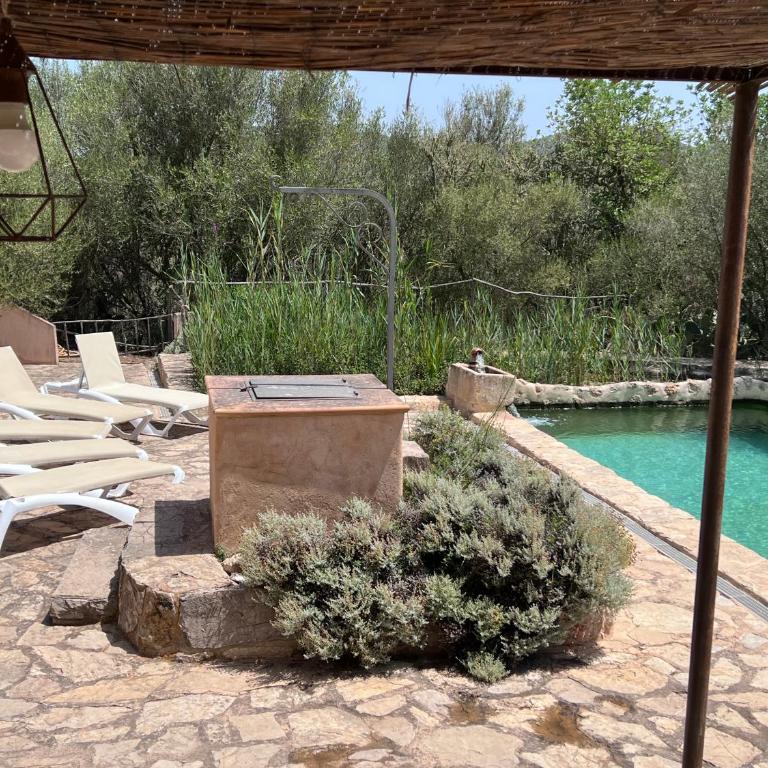 Son Vell. Mallorca. Casa amb piscina ecològica. - Casa de 5 dormitorios - 56