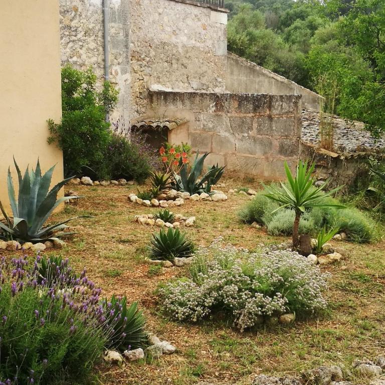 Son Vell. Mallorca. Casa amb piscina ecològica. - Casa de 5 dormitorios - 57