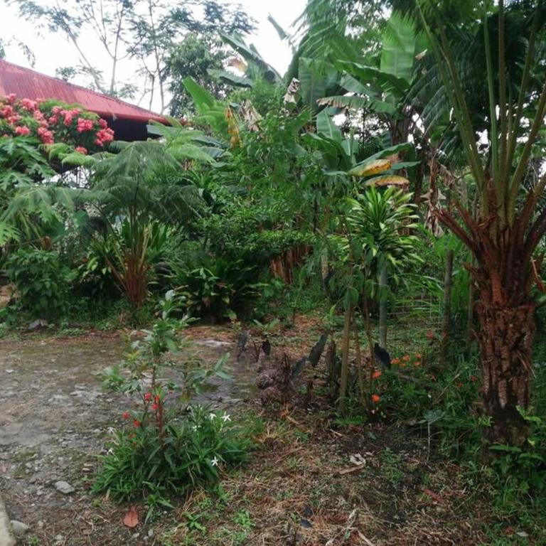 Agradable granja cerca a un río de agua fresca. - Chalet - 10