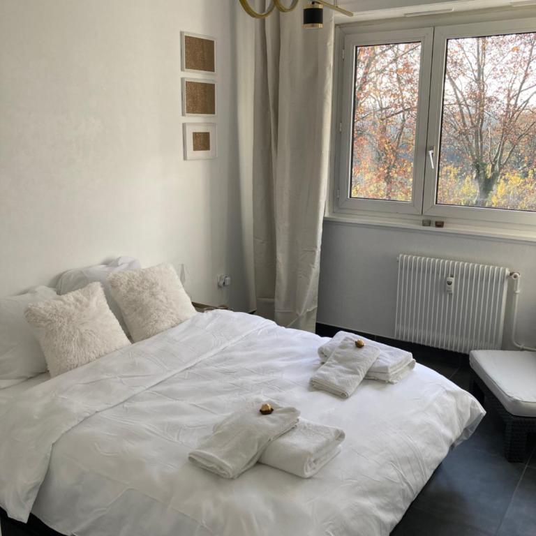 Strasbourg «La source de ValAuRa » De l’Eau à l’Or - Apartamento de 2 dormitorios - 14