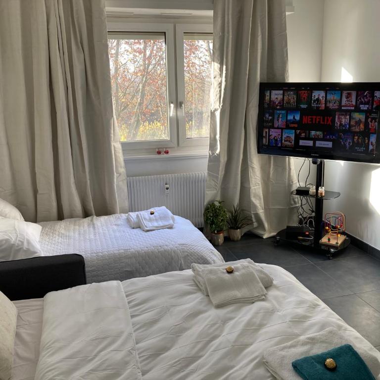 Strasbourg «La source de ValAuRa » De l’Eau à l’Or - Apartamento de 2 dormitorios - 15