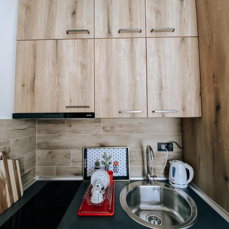 Zlatokosina zona Kopaonik Milmari NLux - One-Bedroom Apartment - 33