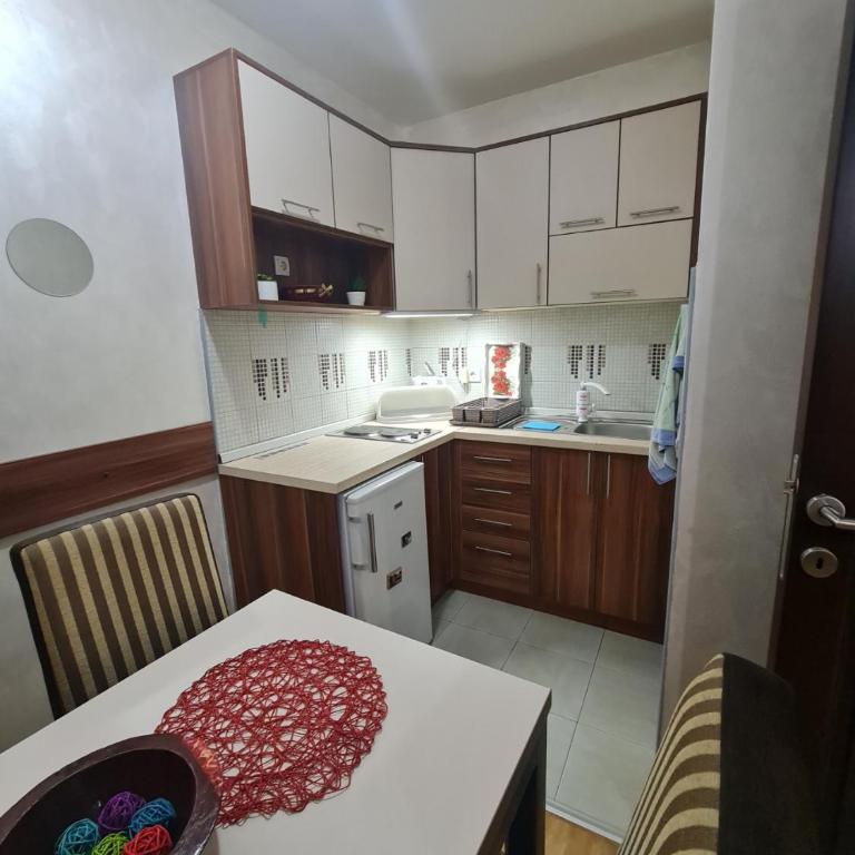 Apartman PIKOLO Zlatibor - Apartman sa 1 Spavaćom Sobom - 46