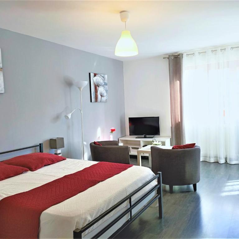 T1 lumineux avec terrasse et parking privé à Aix-les-Bains - FR-1-555-70 - Studio - 1