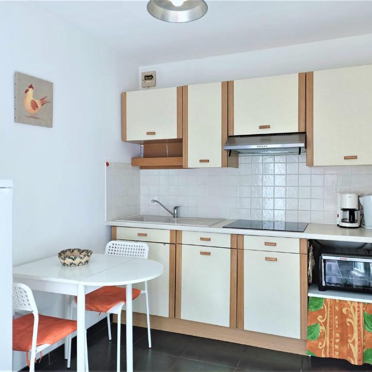 T1 lumineux avec terrasse et parking privé à Aix-les-Bains - FR-1-555-70 - Studio - 4