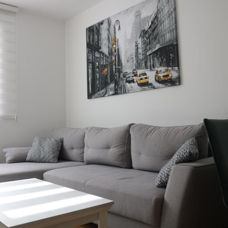 Vila Irina Kopaonik - Apartman sa 1 Spavaćom Sobom - 7