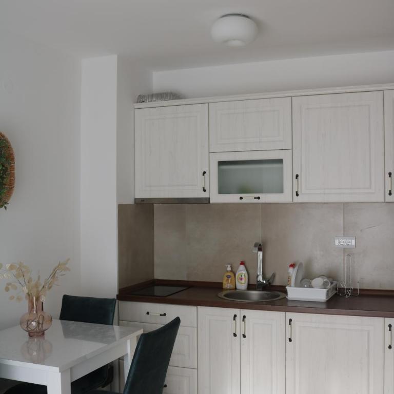 Vila Irina Kopaonik - Studio Apartman - 6