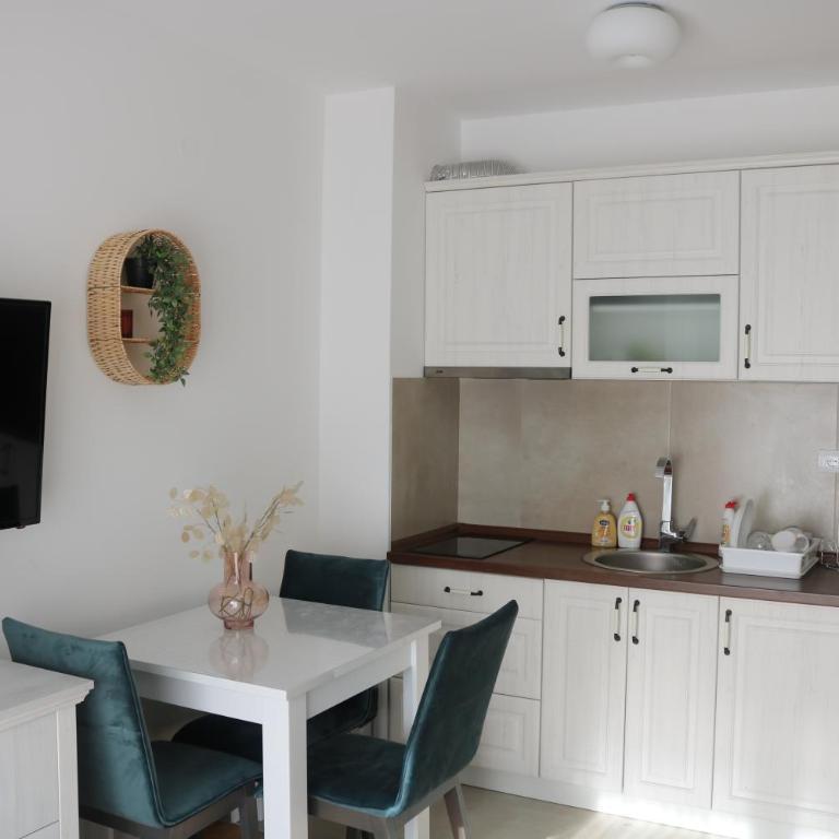 Vila Irina Kopaonik - Studio Apartman - 18