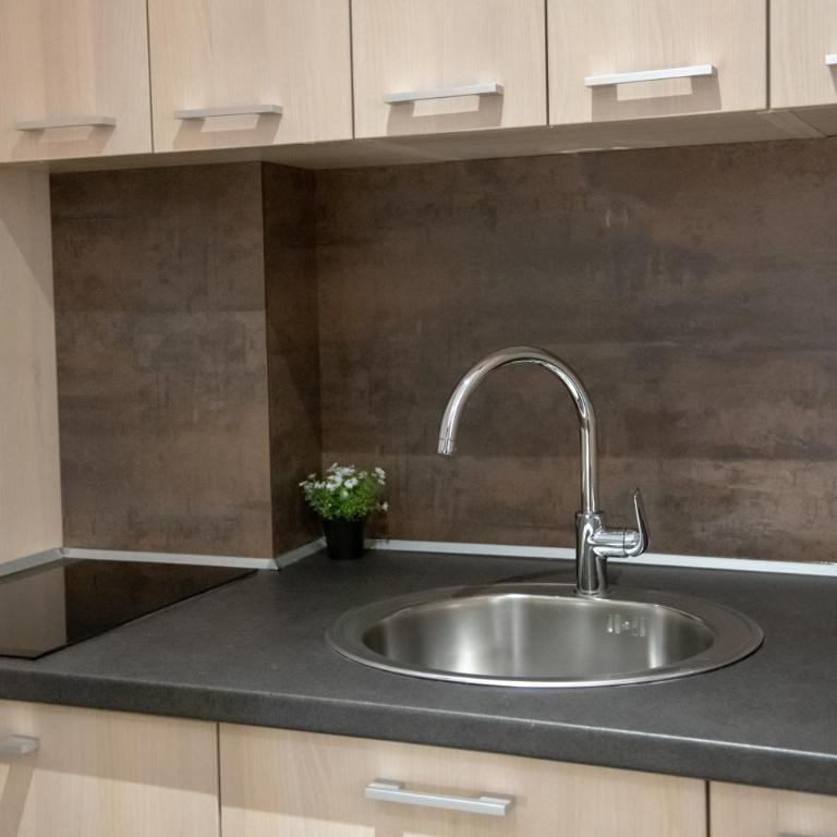 Apart Hotel Maksimum - Superior Soba s King-sajz Krevetom - 4