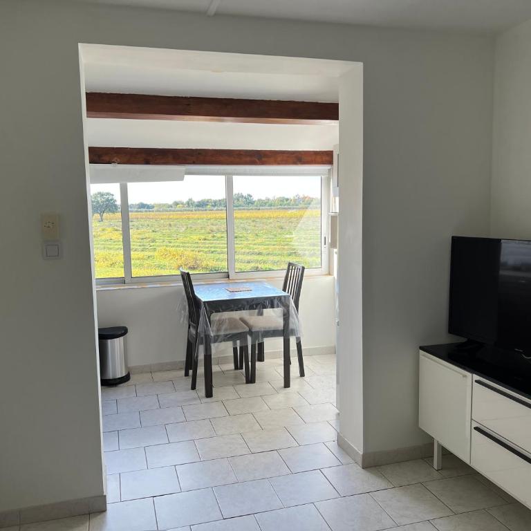 Joli studio très clair à proximité mer pour 3 personnes - Studio - 4