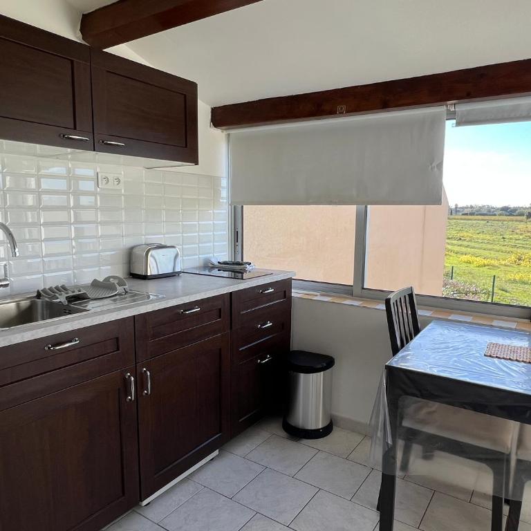 Joli studio très clair à proximité mer pour 3 personnes - Studio - 1